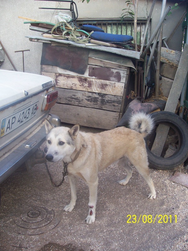 Виктория Олейник фотография #42
