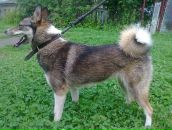 Лайма Ремінська фотография #9 (источник - https://vk.com/id108747419)