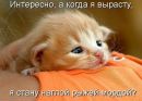Маріна Боянецька фотография #34 (источник - https://vk.com/id156676972)
