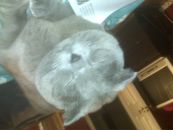 Фотография Кроля Гриши