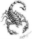 Руслан Дяків фотография #41 (источник - https://vk.com/id119007423)