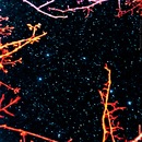 Фотография Калюжного Артура