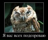 Фотография Ванюшкина Константина