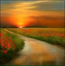 Фотография Горюновой Елены