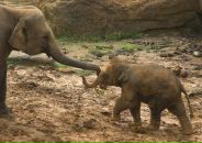 Даша Дашина фотография #3 (источник - https://vk.com/id2891457)