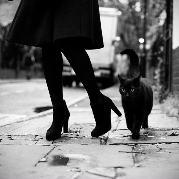 Rena Nova фото №1