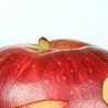 Вася Куліш фотография #35 (источник - https://vk.com/id152733539)