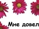 Роман Кшебіт фотография #35 (источник - https://vk.com/id16455228)