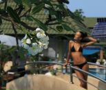 Анна Буга-Вуга фотография #21 (источник - https://vk.com/id50291)