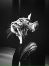 Фотография Тухватуллина Albert