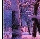 Віта Залещик фотография #39 (источник - https://vk.com/id41863362)