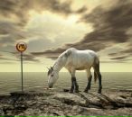 Фотография Ханны Евгении