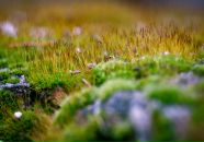 Дмитрий Арсентьев фотография #10 (источник - https://vk.com/id239494)