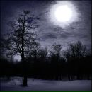 Фотография Бамма Романа