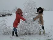 Свєта Лукіянчук фотография #48 (источник - https://vk.com/id127529685)