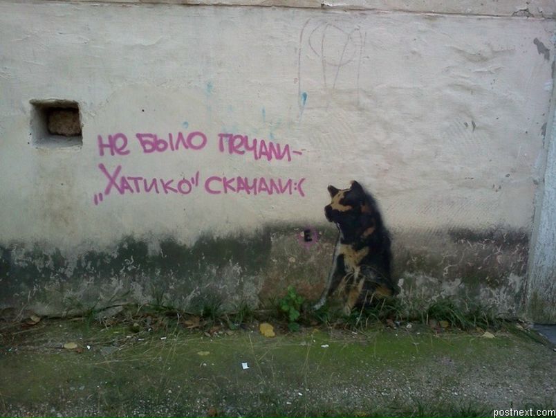 Антон Васильев фото №46