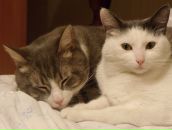 Фотография Амелькиной Любови