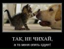 Катеринка Поліщук фотография #26 (источник - https://vk.com/id169542616)