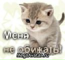 Оля Тимофійчук фотография #1