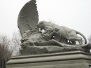 Рома Маноіла фотография #10 (источник - https://vk.com/id149179349)