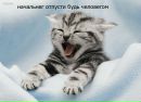Леночка :)))) фотография #6 (источник - https://vk.com/id139314432)