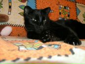 Фотография Ломуновой Любови