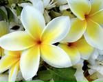 Фотография Крысановой Жанны