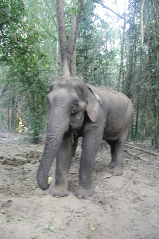 Дмитрий Симонов фотография #31