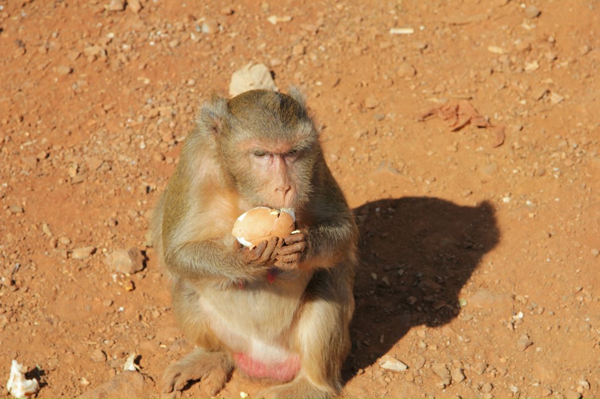 Дмитрий Симонов фотография #35