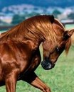 Юрій Петров фотография #28 (источник - https://vk.com/id165798431)