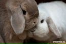 Оксана Пеньківська фотография #43 (источник - https://vk.com/id72254558)