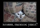 Максим Боніковський фотография #31 (источник - https://vk.com/id167177837)
