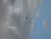 Фотография Лифшиц Ирины