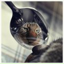 Фотография Панина Михаила