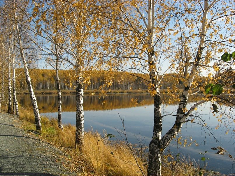 Виктор Косарев фото №9