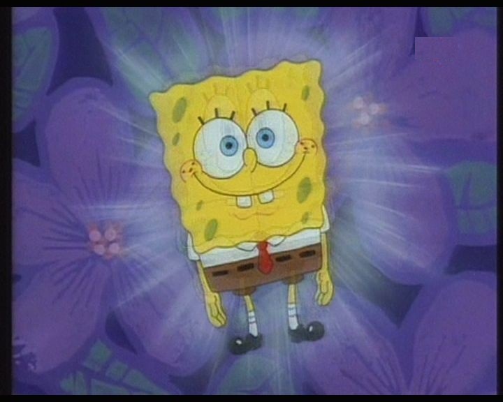 Sboker Max фотография #9