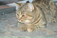 Фотография Малковой Ани