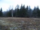 Артём Клименков фотография #22 (источник - https://vk.com/id23388)