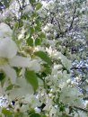Фотография Макаровой Светланы