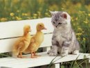 Вітуся Середа фотография #6 (источник - https://vk.com/id41705114)