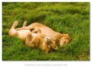 Асиф Зардари фотография #43 (источник - https://vk.com/id42724047)