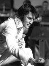 Elvis Presley фотография #1