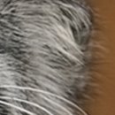 Виктор Арфеев фотография #42 (источник - https://vk.com/id38807040)