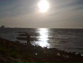 Фотография Покровского Димы