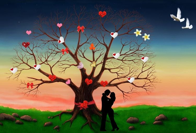 Элис Каленн фотография #16