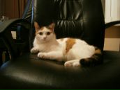 Анна Конева фотография #13 (источник - https://vk.com/id2275252)