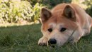Ігор Кухар фотография #9 (источник - https://vk.com/id139131259)