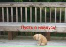 Ілля Гриценко фотография #41 (источник - https://vk.com/id161081281)