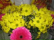 Рагмон Гайдаєнко фотография #33 (источник - https://vk.com/id140236149)