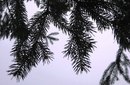 Маша Кушнір фотография #31 (источник - https://vk.com/id160173272)